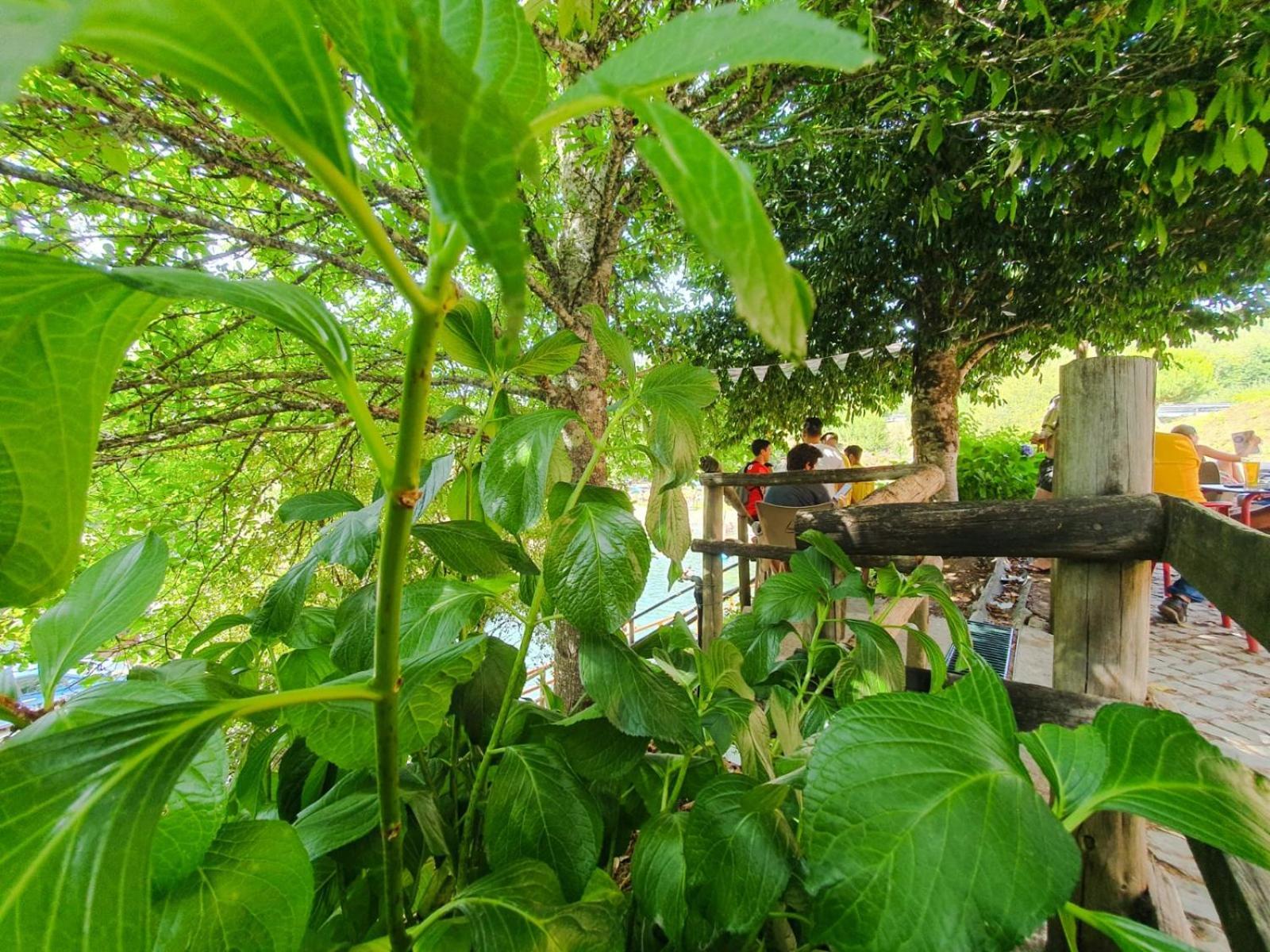 Casa Elbi Βίλα Figueiro Dos Vinhos Εξωτερικό φωτογραφία